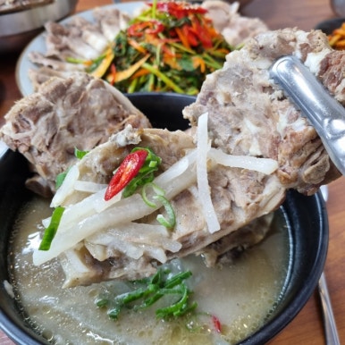 제주접작뼈국 이미지