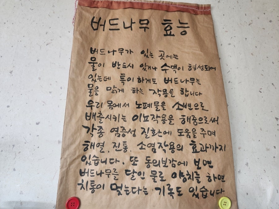 우포에버들국수 이미지