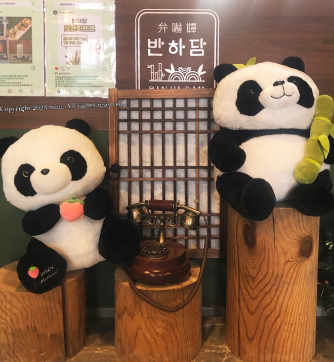 반하담 이미지