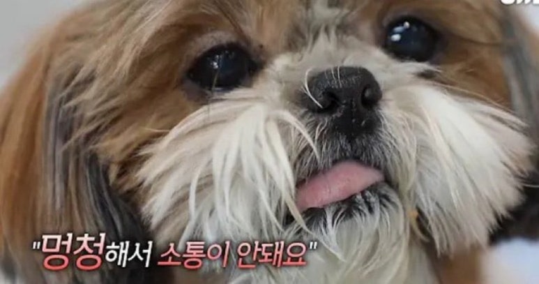 마스 이미지