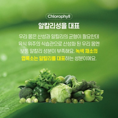 트루그린 이미지