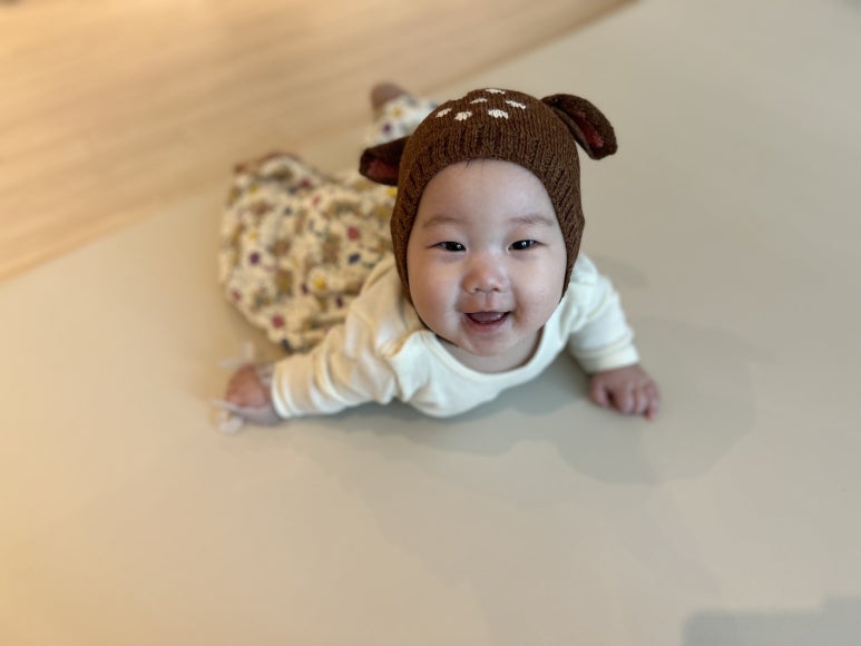 꼬숑.ccoshong 이미지