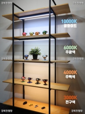 와이비스포츠 이미지