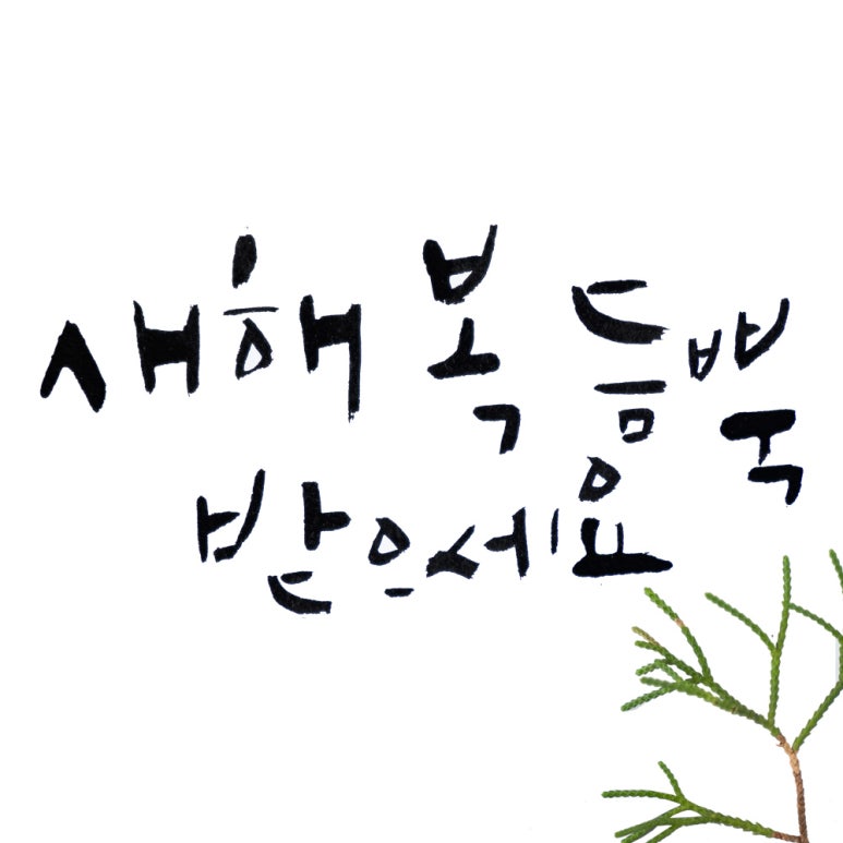 제주노드 이미지