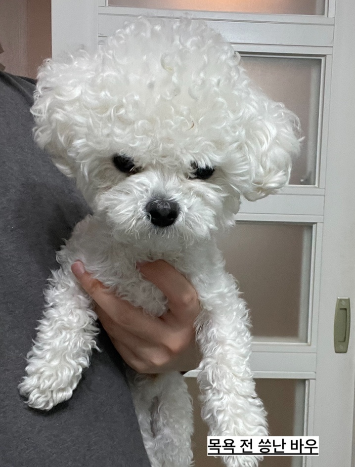 샐러디경희대점 이미지