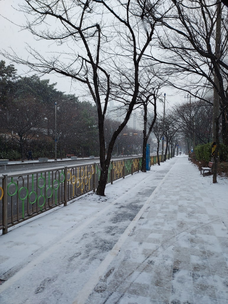 보보스헤어 이미지