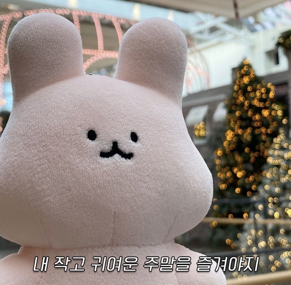 신선칼국수 이미지