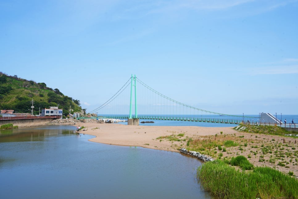 로드139 이미지