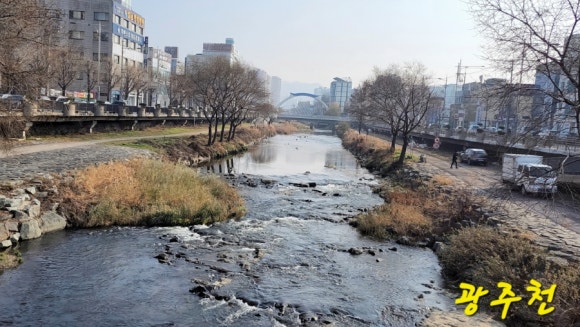 대중환경 이미지