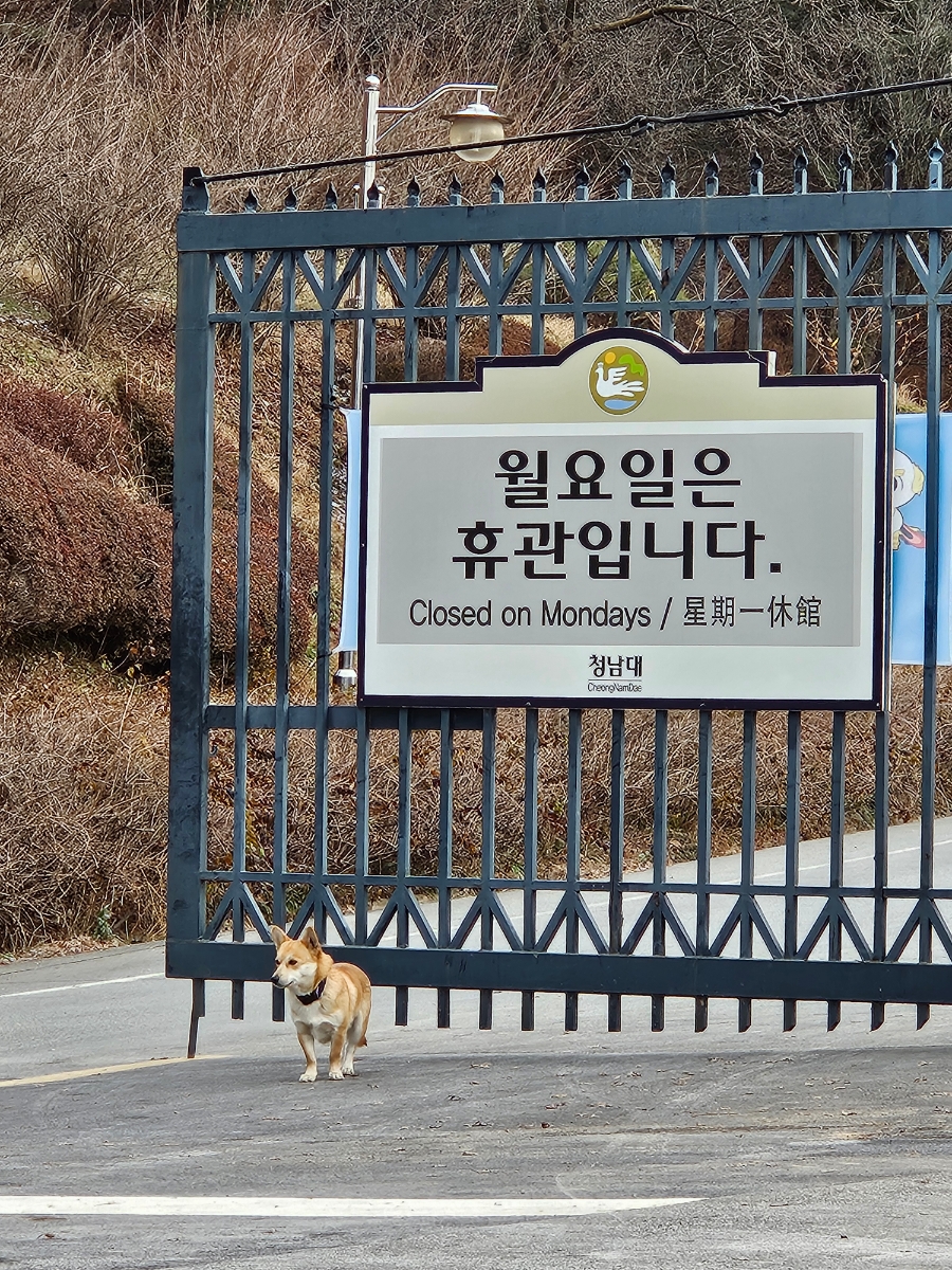 현이네호떡 이미지
