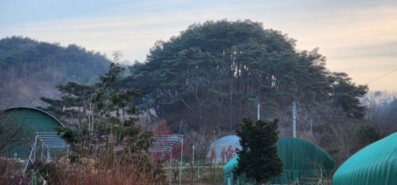 도함도예 이미지