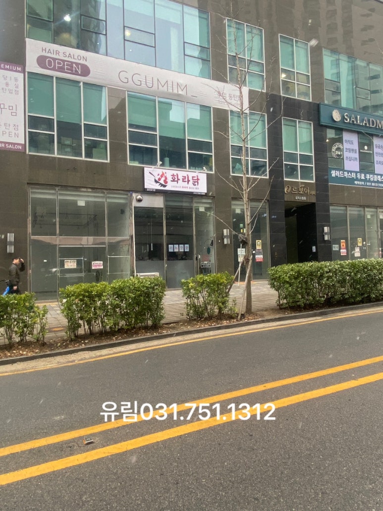 화라닭 이미지