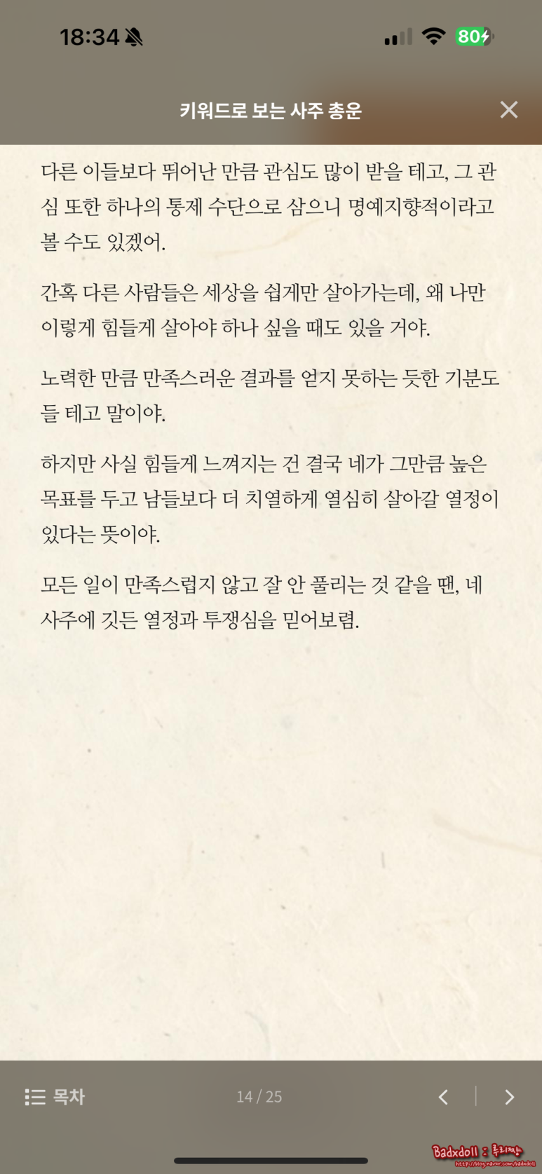 루리네일 이미지