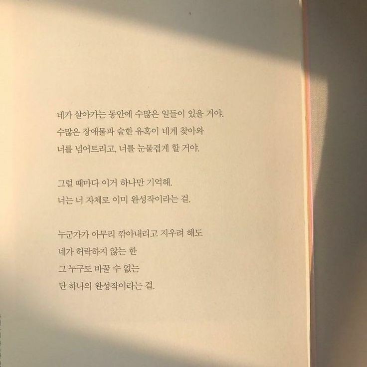 써니문 이미지