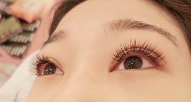 네일 피닉스 이미지