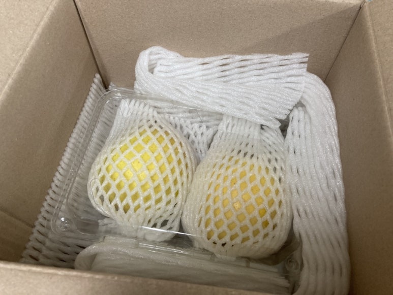 정인농원 이미지
