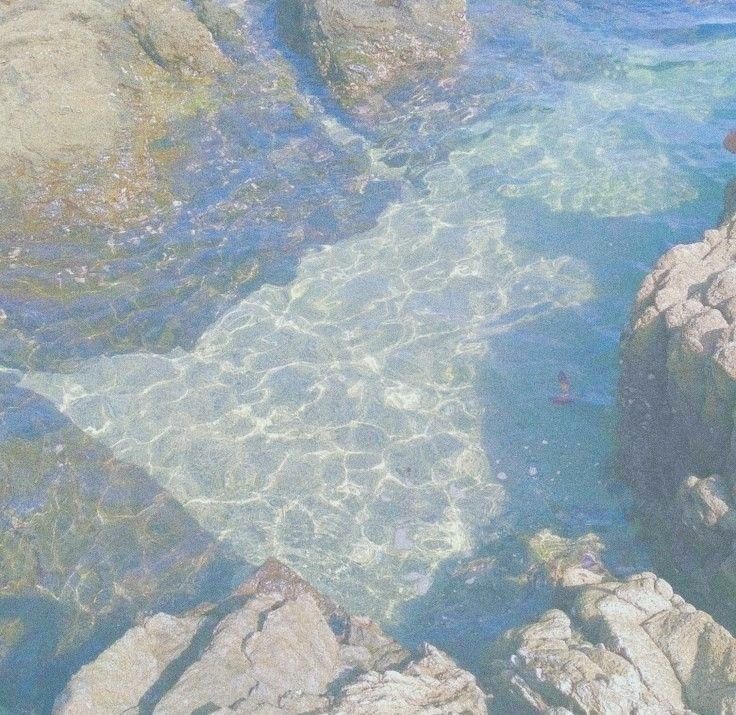 더 만나 이미지