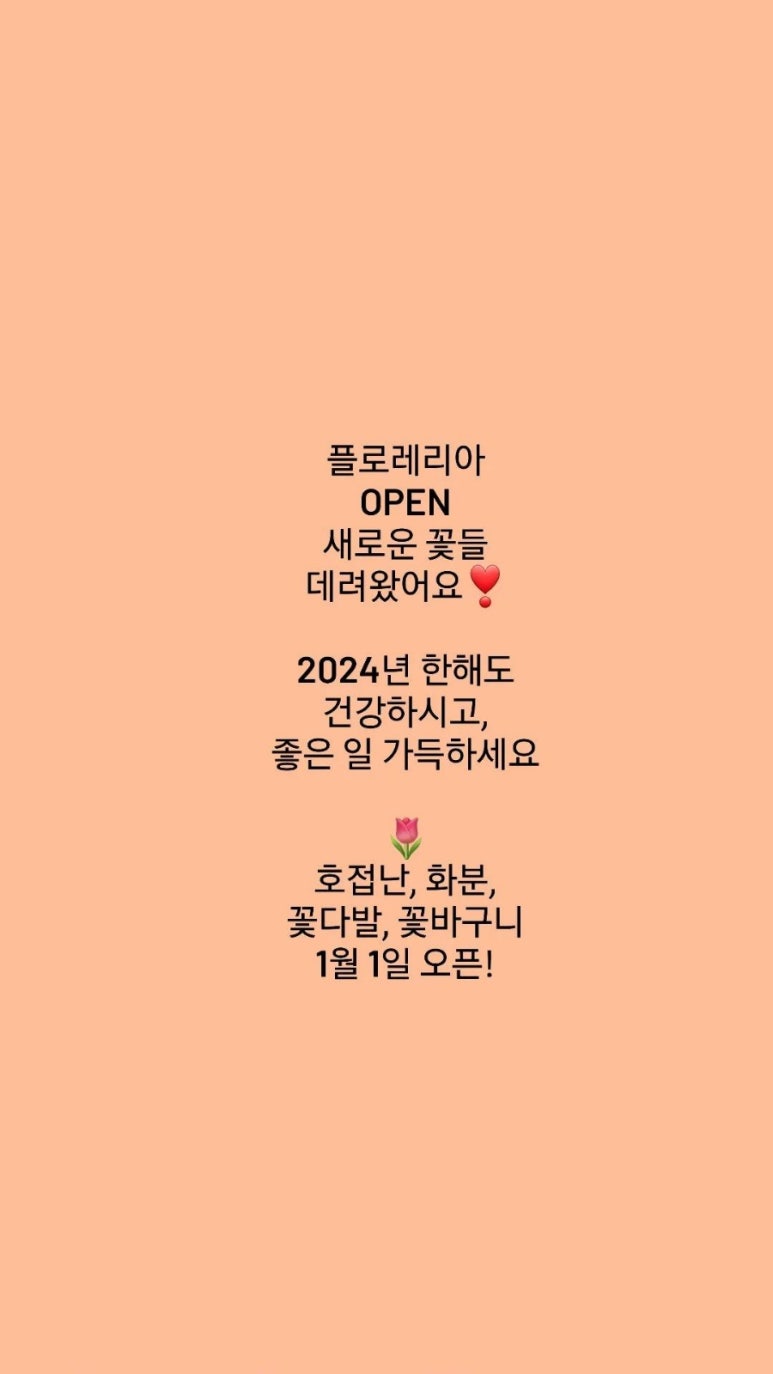플로레리아 이미지