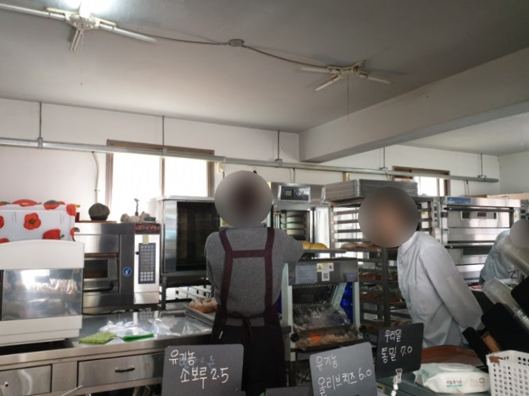누룩꽃이 핀다 이미지