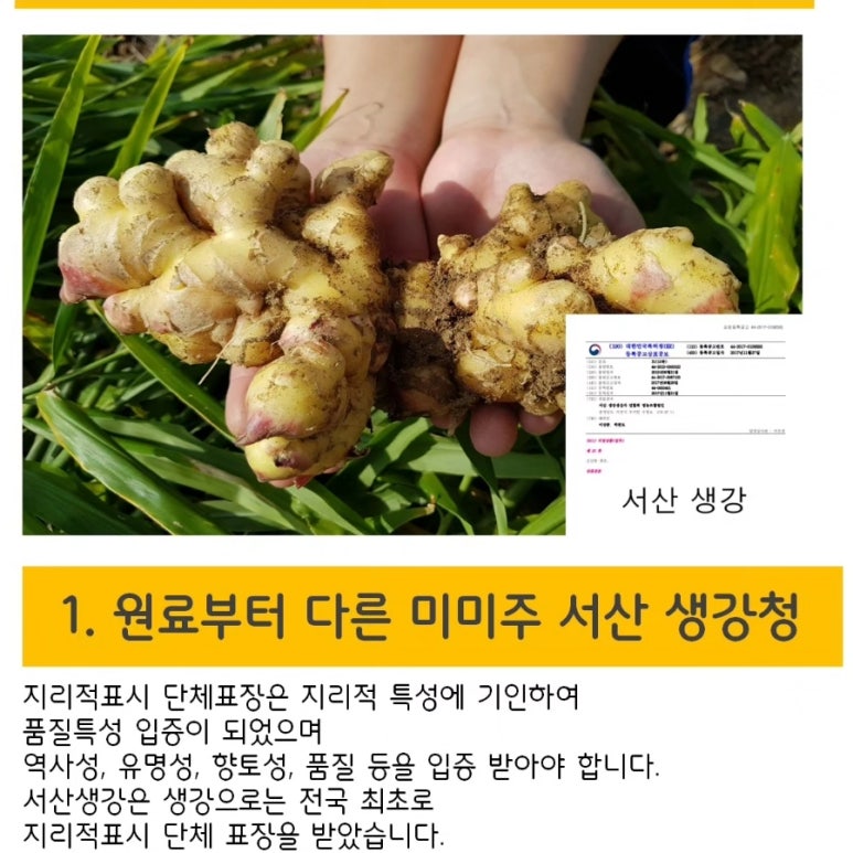 미미주 이미지