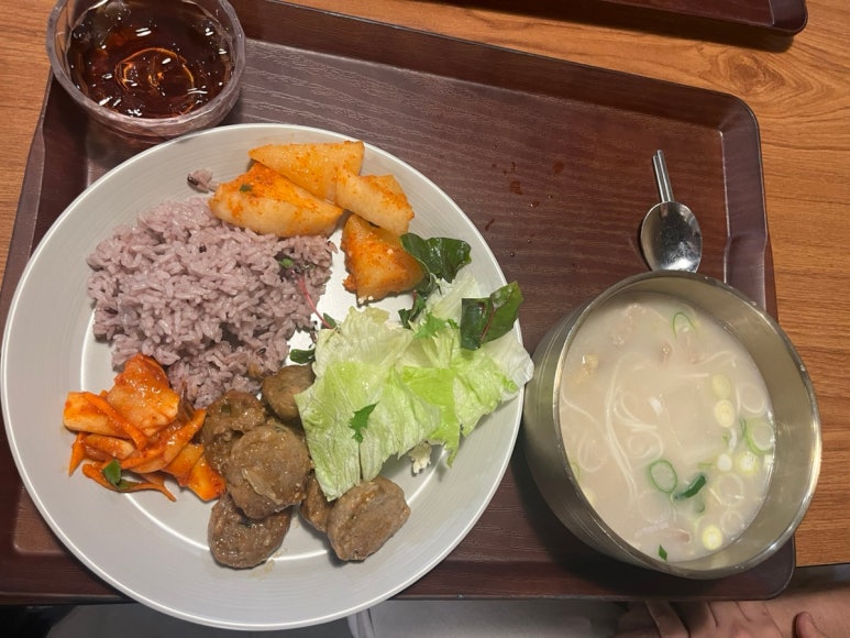 그린테리아1 이미지