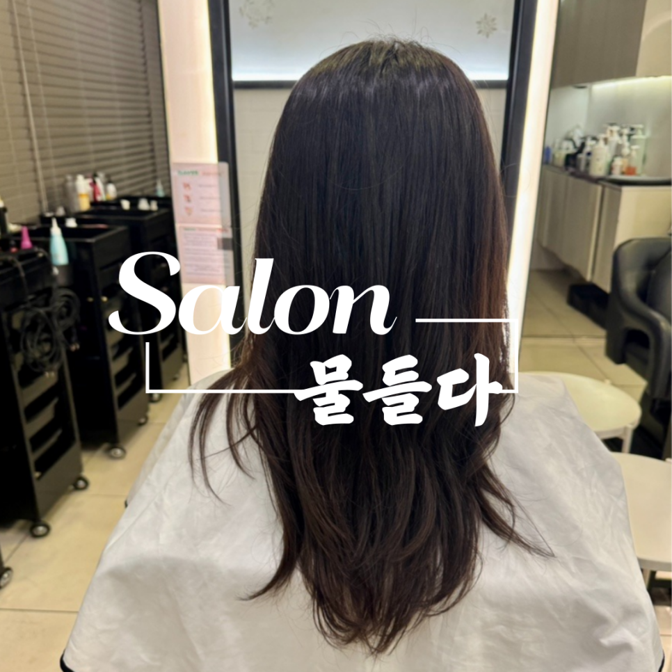 살롱물들다 이미지