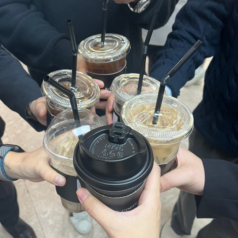 그린테리아1 이미지