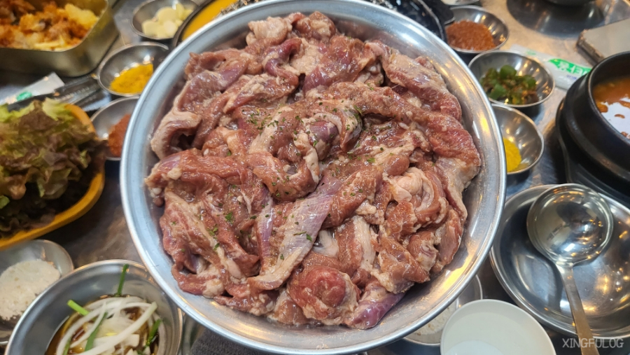 돗배갈매기 이미지