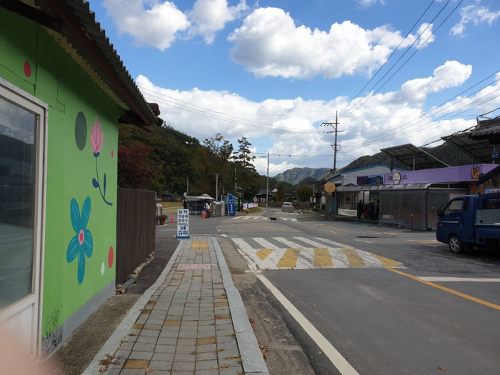 누룩꽃이 핀다 이미지