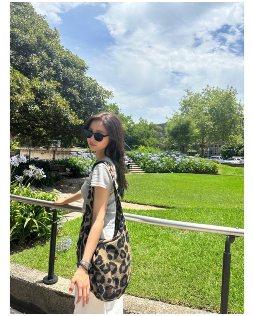 와이와이모토 이미지