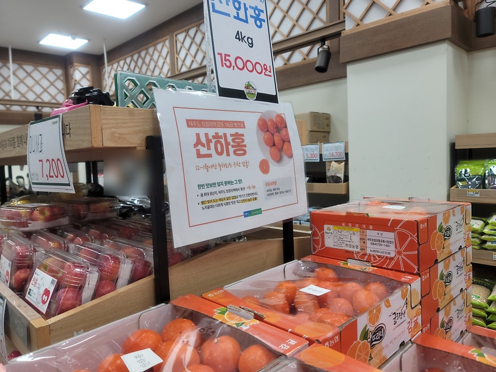 홍귤 이미지