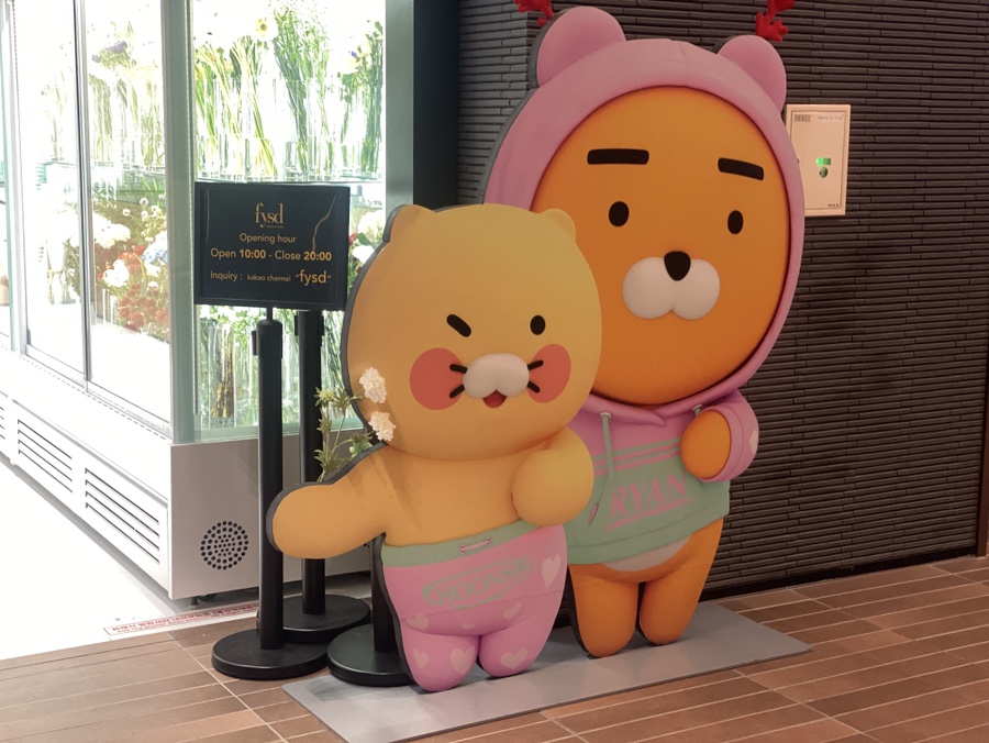 에프와이에스디 이미지