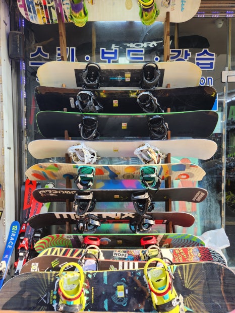 강원하이렌탈 이미지
