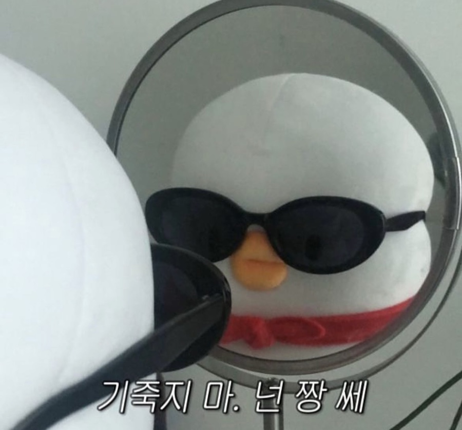 솔로짐 이미지