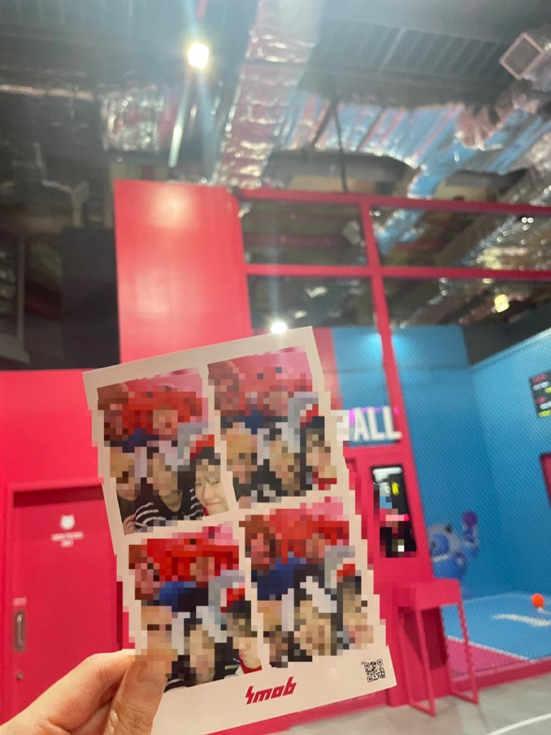 스몹고양 이미지