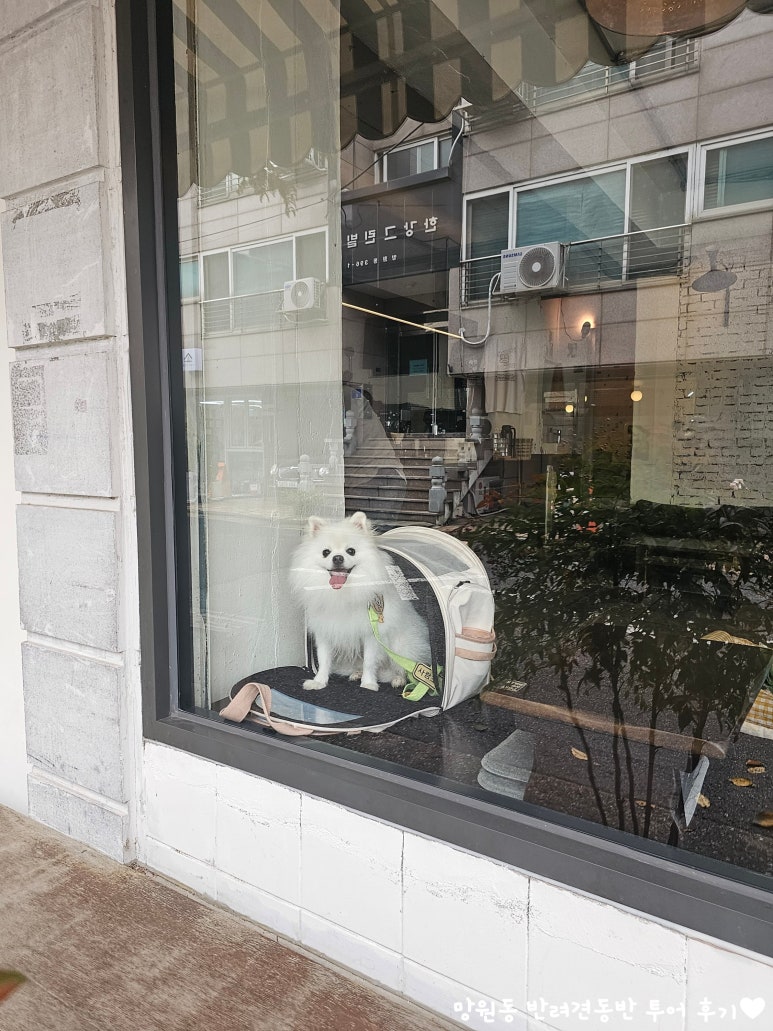 널독(NERDOG) 이미지