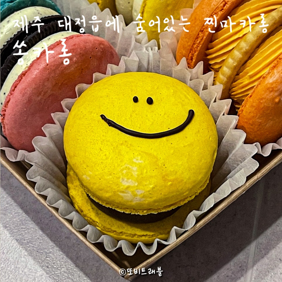 쏭카롱 이미지