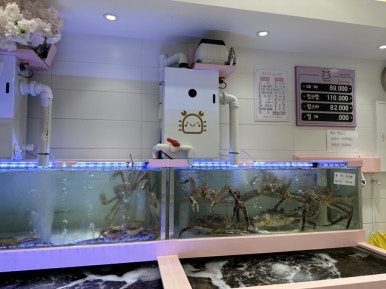 헬로크랩 대게 안산점 사진 6