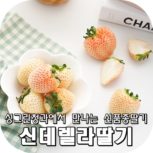 그린청과 이미지