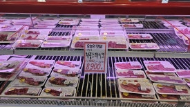미트피아 이미지