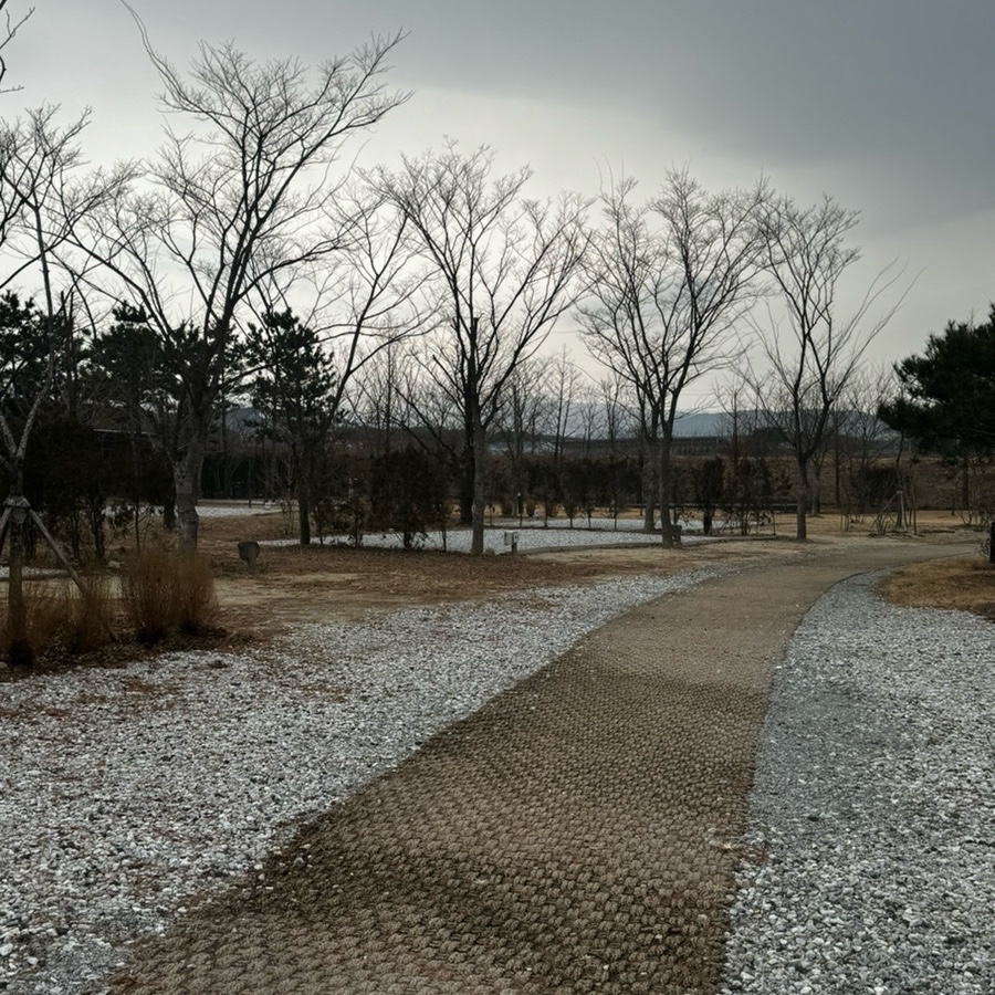 342 camp 이미지