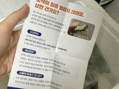 거거수산 이미지