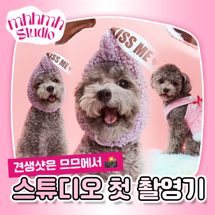 므므스튜디오 이미지
