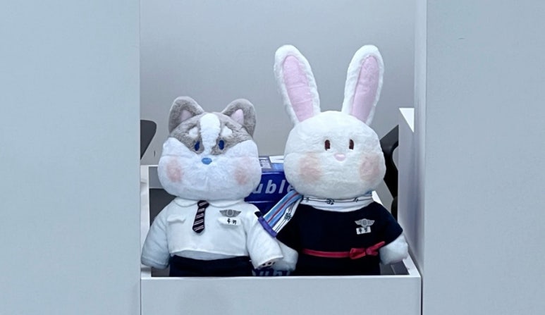 보람항공(주) 이미지