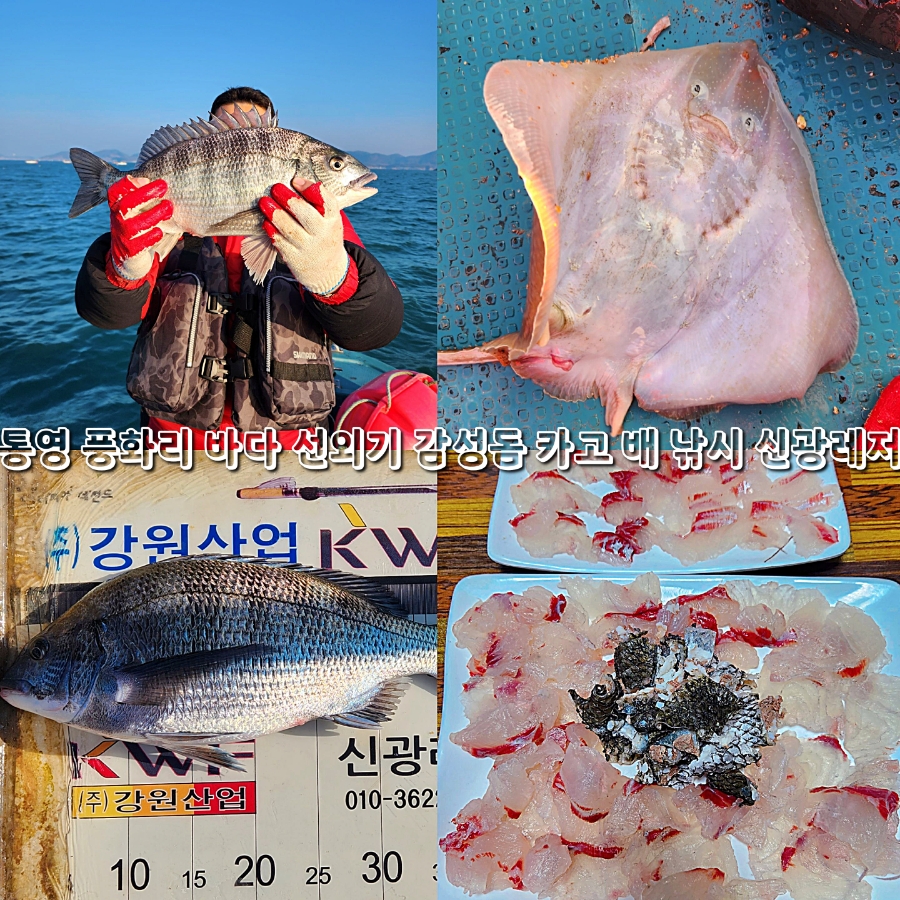 신광투어 이미지