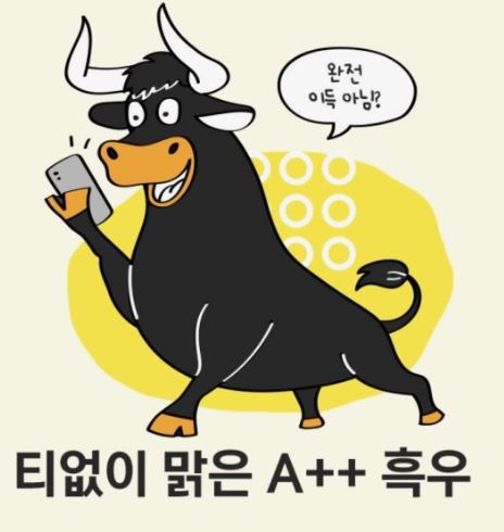 파주중고KB 이미지
