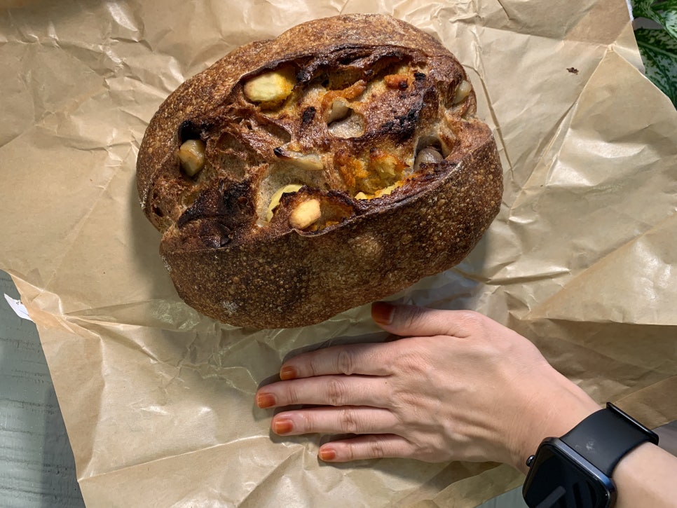 백로빵집 이미지