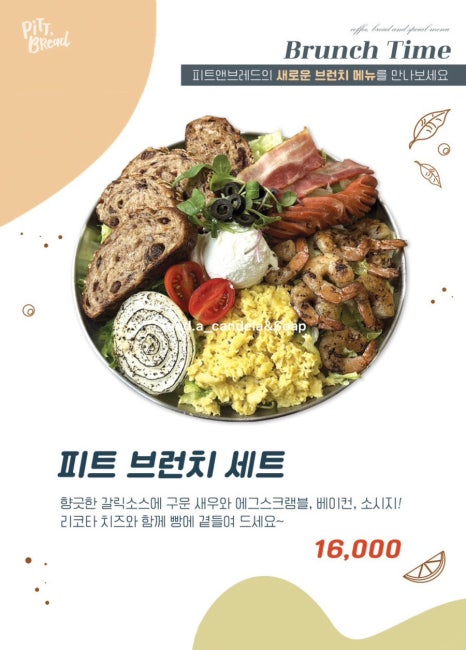 피트카페 이미지