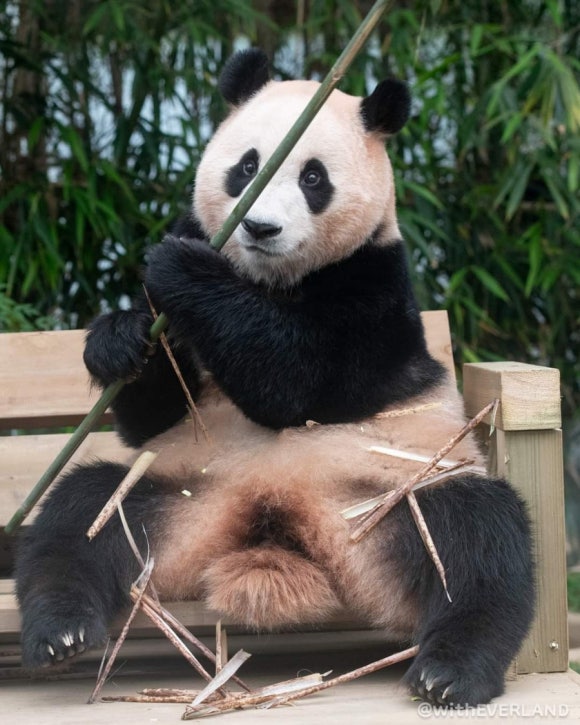 행복사진관 이미지