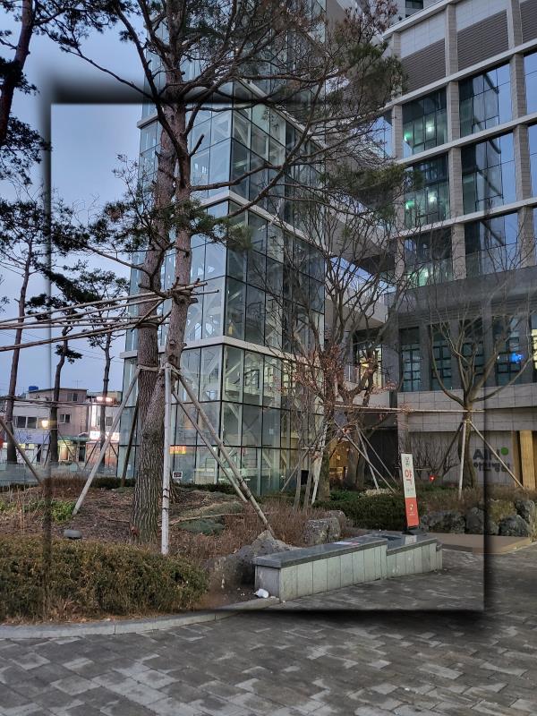히노아지 이미지